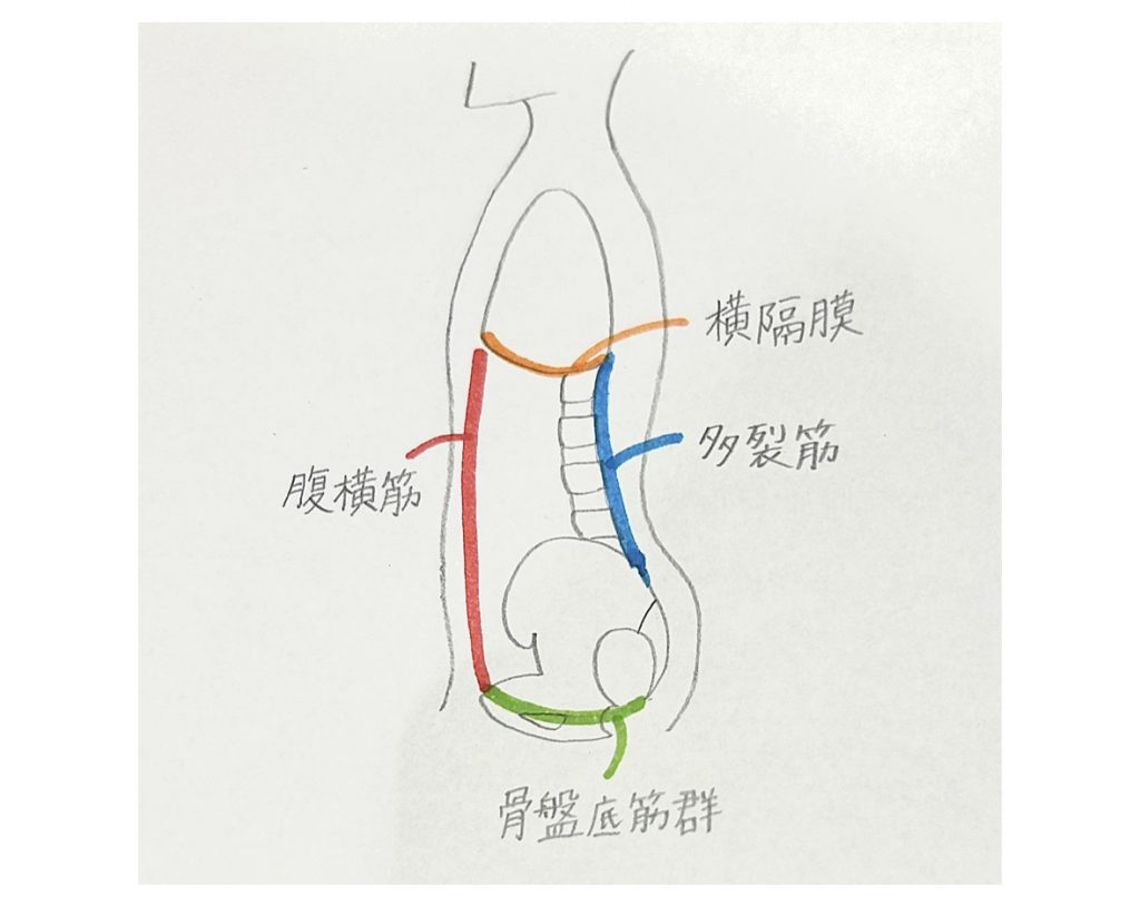 腰痛改善に有用な「ピラティス」とは？その効果と具体的ケアを専門家が解説