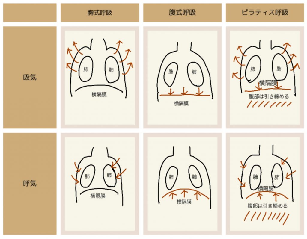 ピラティススタジオDEP 呼吸方法・呼吸様式の確認方法