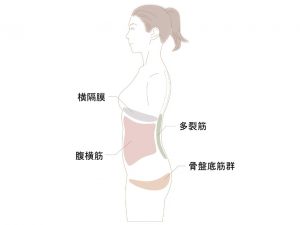 ピラティススタジオDEP　マシンピラティス　人気　おすすめ　インナーマッスル